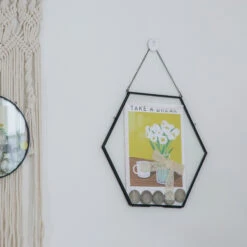 Wall Hanging Black Hexagon 12" Herbarium Brass Glass Frame For Thick Pressed Flowers, Dried Flowers, Poster, Coin, Double Glass, Floating 28 Wall Hanging Black Hexagon 12" Herbarium Brass Glass Frame For Thick Pressed Flowers, Dried Flowers, Poster, Coin, Double Glass, Floating -Terrarium Plant Hub 20221122003 11