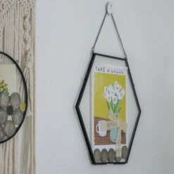 Wall Hanging Black Hexagon 12" Herbarium Brass Glass Frame For Thick Pressed Flowers, Dried Flowers, Poster, Coin, Double Glass, Floating 29 Wall Hanging Black Hexagon 12" Herbarium Brass Glass Frame For Thick Pressed Flowers, Dried Flowers, Poster, Coin, Double Glass, Floating -Terrarium Plant Hub 20221122003 12