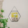 Wall Hanging Black Hexagon 12" Herbarium Brass Glass Frame For Thick Pressed Flowers, Dried Flowers, Poster, Coin, Double Glass, Floating -Terrarium Plant Hub 20221122003 15
