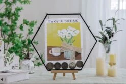 Wall Hanging Black Hexagon 12" Herbarium Brass Glass Frame For Thick Pressed Flowers, Dried Flowers, Poster, Coin, Double Glass, Floating 22 Wall Hanging Black Hexagon 12" Herbarium Brass Glass Frame For Thick Pressed Flowers, Dried Flowers, Poster, Coin, Double Glass, Floating -Terrarium Plant Hub 20221122003 3