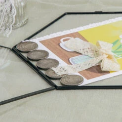 Wall Hanging Black Hexagon 12" Herbarium Brass Glass Frame For Thick Pressed Flowers, Dried Flowers, Poster, Coin, Double Glass, Floating 26 Wall Hanging Black Hexagon 12" Herbarium Brass Glass Frame For Thick Pressed Flowers, Dried Flowers, Poster, Coin, Double Glass, Floating -Terrarium Plant Hub 20221122003 8