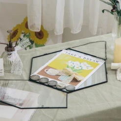 Wall Hanging Black Hexagon 12" Herbarium Brass Glass Frame For Thick Pressed Flowers, Dried Flowers, Poster, Coin, Double Glass, Floating 27 Wall Hanging Black Hexagon 12" Herbarium Brass Glass Frame For Thick Pressed Flowers, Dried Flowers, Poster, Coin, Double Glass, Floating -Terrarium Plant Hub 20221122003 9