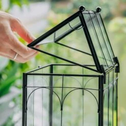 Vintage House Glass Geometric Terrarium Card Box Black -Terrarium Plant Hub 20230329020 20