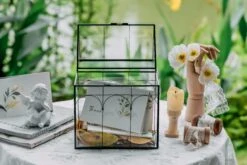 Vintage House Glass Geometric Terrarium Card Box Black -Terrarium Plant Hub 20230329020 3