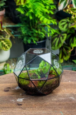 Handmade Close Triangular Pentagon Mix 32-Sides Clear Glass Geometric Centerpiece Terrarium For Moss -Terrarium Plant Hub 20230509029 18