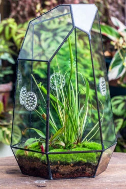 Handmade 41cm / 16" Tall IrregularGlass Geometric Terrarium Box With Vent 20 Handmade 41cm / 16" Tall IrregularGlass Geometric Terrarium Box With Vent -Terrarium Plant Hub 20230510030 1