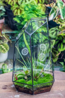Handmade 41cm / 16" Tall IrregularGlass Geometric Terrarium Box With Vent 29 Handmade 41cm / 16" Tall IrregularGlass Geometric Terrarium Box With Vent -Terrarium Plant Hub 20230510030 16