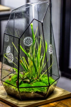 Handmade 41cm / 16" Tall IrregularGlass Geometric Terrarium Box With Vent 23 Handmade 41cm / 16" Tall IrregularGlass Geometric Terrarium Box With Vent -Terrarium Plant Hub 20230510030 7