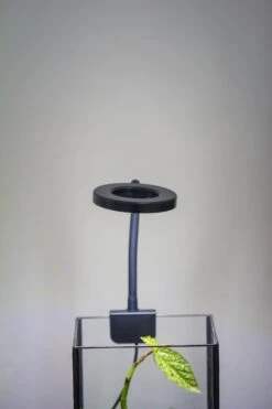 NCYP Clip Grow LED Light, Gooseneck, USB, 10W, Display, Adjustable, For Succulents, Open Terrarium, Fish Tank, Moss, Fern, Tropical Plants -Terrarium Plant Hub 20230628086 1