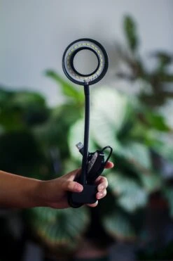 NCYP Clip Grow LED Light, Gooseneck, USB, 10W, Display, Adjustable, For Succulents, Open Terrarium, Fish Tank, Moss, Fern, Tropical Plants -Terrarium Plant Hub 20230628086 14