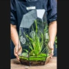 Handmade 41cm / 16" Tall IrregularGlass Geometric Terrarium Box With Vent