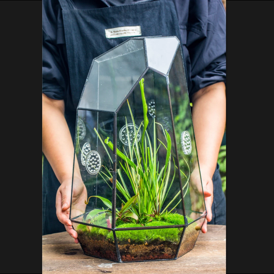 Handmade 41cm / 16" Tall IrregularGlass Geometric Terrarium Box With Vent 3 Handmade 41cm / 16" Tall IrregularGlass Geometric Terrarium Box With Vent