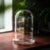 Glass Cloche Terrarium Bell Jar With Glass Base With Top Air Hole,Glass Dome Planter For Plants -Terrarium Plant Hub 20240709078IMG 4875 1