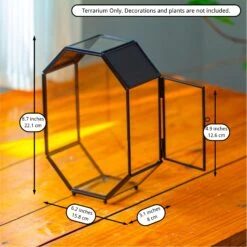 NCYP Octagon 6x8 Inches Geometric Terrarium With Vents For Small Insects -Terrarium Plant Hub 20250429002