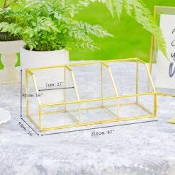 Front Page 59 Front Page -Terrarium Plant Hub 20250726113 1