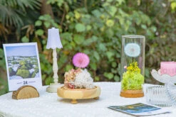 Purple Presered Dandelion Set 3 Pcs Dried Flowers, DIY Material For Bouquet, -Terrarium Plant Hub 290A2051