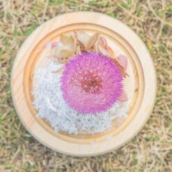Purple Presered Dandelion Set 3 Pcs Dried Flowers, DIY Material For Bouquet, -Terrarium Plant Hub 290A2132