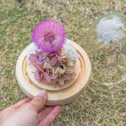 Purple Presered Dandelion Set 3 Pcs Dried Flowers, DIY Material For Bouquet, -Terrarium Plant Hub 290A2163