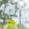 Sky Blue Presered Dandelion Set 3 Pcs Dried Flowers, DIY Material For Bouquet -Terrarium Plant Hub 290A2205