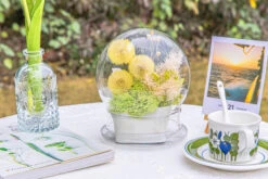 Yellow Presered Dandelion Set 3 Pcs Dried Flowers, DIY Material For Bouquet -Terrarium Plant Hub 290A2323