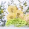 Yellow Presered Dandelion Set 3 Pcs Dried Flowers, DIY Material For Bouquet -Terrarium Plant Hub 290A2366