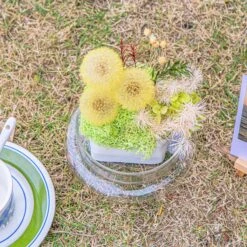 Yellow Presered Dandelion Set 3 Pcs Dried Flowers, DIY Material For Bouquet -Terrarium Plant Hub 290A2412