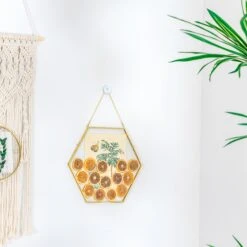 Wall Hanging Hexagon 12" Herbarium Brass Glass Frame For Thick Pressed Flowers, Dried Flowers, Poster, Coin, Double Glass, Floating Frame -Terrarium Plant Hub 290A2495