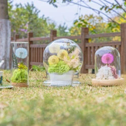 Yellow Presered Dandelion Set 3 Pcs Dried Flowers, DIY Material For Bouquet -Terrarium Plant Hub 290A2507