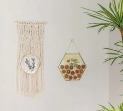 Wall Hanging Round 8" Herbarium Brass Glass Frame For Thick Pressed Flowers, Dried Flowers, Poster, Coin, Double Glass, Floating Frame -Terrarium Plant Hub 290A2521