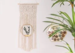 Wall Hanging Round 8" Herbarium Brass Glass Frame For Thick Pressed Flowers, Dried Flowers, Poster, Coin, Double Glass, Floating Frame -Terrarium Plant Hub 290A2527