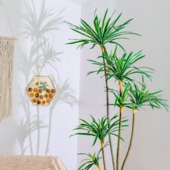 Wall Hanging Hexagon 12" Herbarium Brass Glass Frame For Thick Pressed Flowers, Dried Flowers, Poster, Coin, Double Glass, Floating Frame -Terrarium Plant Hub 290A2567