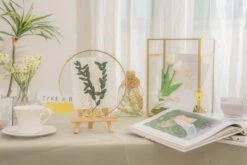 Wall Hanging Round 8" Herbarium Brass Glass Frame For Thick Pressed Flowers, Dried Flowers, Poster, Coin, Double Glass, Floating Frame -Terrarium Plant Hub 290A2779