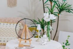 NCYP Glass Coin Organizer Holder For Morgan Silver Dollar Coin - Wall Hanging Display Frame - Round 8" Glass Floating Herbarium For Dried Flowers - Home Decor, Black -Terrarium Plant Hub 290A2892