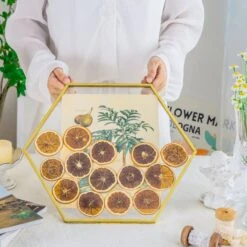 Wall Hanging Hexagon 12" Herbarium Brass Glass Frame For Thick Pressed Flowers, Dried Flowers, Poster, Coin, Double Glass, Floating Frame -Terrarium Plant Hub 290A3133