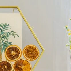 Wall Hanging Hexagon 12" Herbarium Brass Glass Frame For Thick Pressed Flowers, Dried Flowers, Poster, Coin, Double Glass, Floating Frame -Terrarium Plant Hub 290A3146