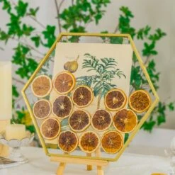 Wall Hanging Hexagon 12" Herbarium Brass Glass Frame For Thick Pressed Flowers, Dried Flowers, Poster, Coin, Double Glass, Floating Frame -Terrarium Plant Hub 290A3150