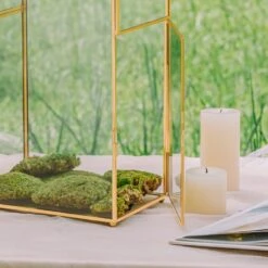 NCYP Glass Cards Box For Wedding Reception - Rectangle Glass Box With Slot And Lock For Money, Envelopes - Birthdays Party Tabletop Decor, 8" X 5.5" X 11.3" Gold, Clear (Card Box Only) -Terrarium Plant Hub 290A3303