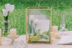 NCYP Glass Cards Box For Wedding Reception - Rectangle Glass Box With Slot And Lock For Money, Envelopes - Birthdays Party Tabletop Decor, 8" X 5.5" X 11.3" Gold, Clear (Card Box Only) -Terrarium Plant Hub 290A3342