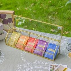 Front Page 55 Front Page -Terrarium Plant Hub 290A4439 6c76e204 0ab8 41b1 9bde 9cc861626f55