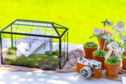 12.6"Handmade Black Wedding Card Box With Slot And Lock, Size Large, For Reception -Terrarium Plant Hub 290A6098