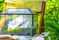 12.6"Handmade Black Wedding Card Box With Slot And Lock, Size Large, For Reception -Terrarium Plant Hub 290A6146