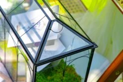 12.6"Handmade Black Wedding Card Box With Slot And Lock, Size Large, For Reception -Terrarium Plant Hub 290A6164