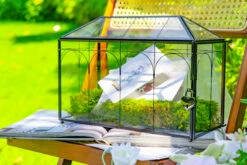 12.6"Handmade Black Wedding Card Box With Slot And Lock, Size Large, For Reception -Terrarium Plant Hub 290A6189