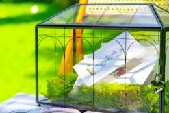 12.6"Handmade Black Wedding Card Box With Slot And Lock, Size Large, For Reception -Terrarium Plant Hub 290A6200