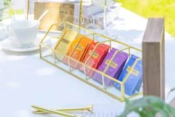 Glass Gold Tea Bag Box, 5 Compartments Box, Tea Lovers Gift Box, Tea Organizer, Christmas Gift -Terrarium Plant Hub 290A6264 89f0dbbc 7980 4e89 957a 1f145e8abbbf