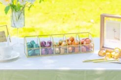 Glass Gold Tea Bag Box, 5 Compartments Box, Tea Lovers Gift Box, Tea Organizer, Christmas Gift -Terrarium Plant Hub 290A6284 374a3bcb 9d84 4a55 9d2a 659a96ea179f