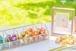 Glass Gold Tea Bag Box, 5 Compartments Box, Tea Lovers Gift Box, Tea Organizer, Christmas Gift -Terrarium Plant Hub 290A6288 8bef7acc 87c4 407f 84be 8adea39493f2