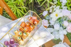 Glass Gold Tea Bag Box, 5 Compartments Box, Tea Lovers Gift Box, Tea Organizer, Christmas Gift -Terrarium Plant Hub 290A6331 c0c77a9f 35c2 4221 956b 9ddc0e7caafb