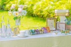 Glass Gold Tea Bag Box, 5 Compartments Box, Tea Lovers Gift Box, Tea Organizer, Christmas Gift -Terrarium Plant Hub 290A6366 f7b7f63d c954 4481 845b 6588473a13e2