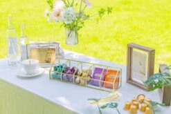 Glass Gold Tea Bag Box, 5 Compartments Box, Tea Lovers Gift Box, Tea Organizer, Christmas Gift -Terrarium Plant Hub 290A6382 1b27c0cd e64f 44a7 90a4 653cc6e13890